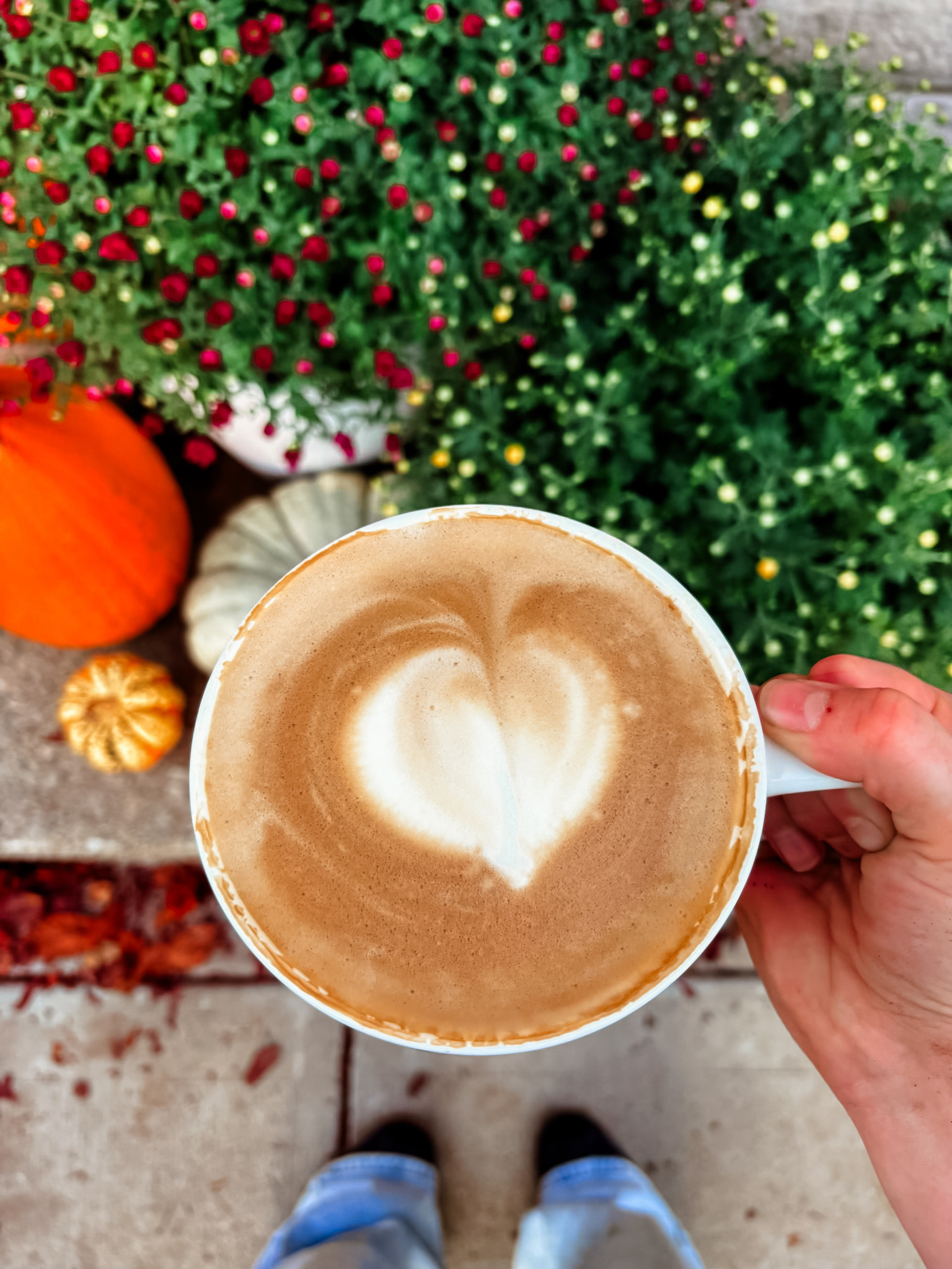 A heart-shaped latte held over autumn mums and pumpkins